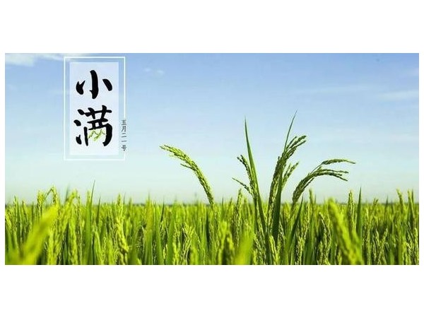 四月中，小瞞者，物致于此小得盈滿